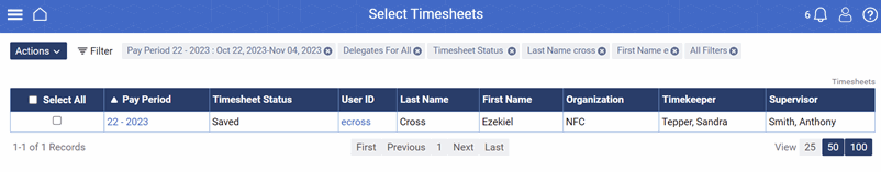 Select Timesheets (Filter Applied) Page